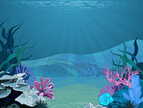 Underwater landscape