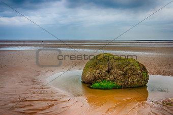 Lonely stone on the beach