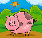 pig livestock animal cartoon illustration