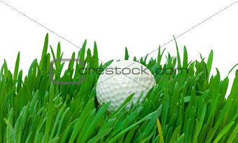 White golf ball in the long grass