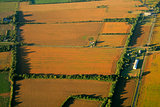 Cultivated farmland