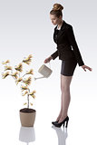 cute business woman watering euro money plant