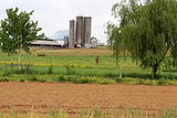 Scenic farmland with silos,farmhouses and a lone mule stanindg in field