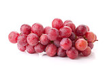 Fresh red grapes branch