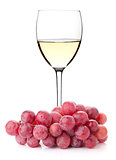 White wine in glass with red grape branch