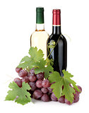 Two wine bottles and grapes
