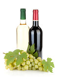 White and red wine bottles and grapes