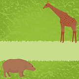 Green card with giraffe and hippo