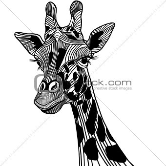Giraffe head vector animal illustration for t-shirt. Sketch tattoo design.