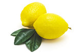 Juicy lemons on a white background