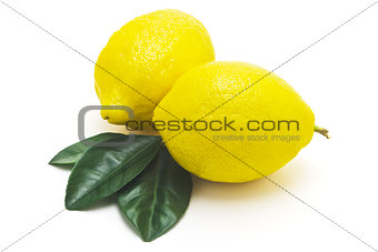 Juicy lemons on a white background