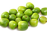 Kiwi Berry or Actinidia arguta