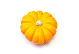 Miniature Gold Pumpkin