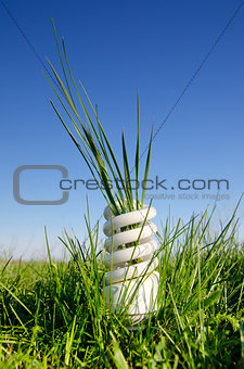 energy saving lamp in green field