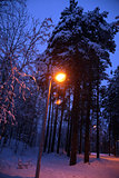 street lantern lighting by a late winter evening