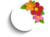 Beautiful Spring Flowers White Background 