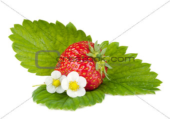 Strawberry fruits with green leaves and flowers