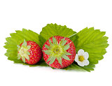 Two strawberry fruits with green leaves and flowers
