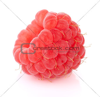 Fresh raspberry macro