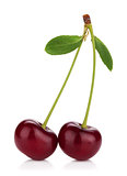 Two ripe cherries