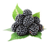 Ripe blackberry fruits