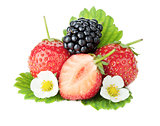 Strawberry and blackberry fruits