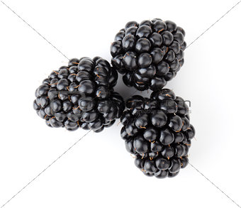 Three blackberries