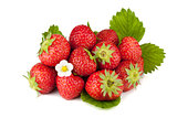 Strawberry fruits with flowers and green leaves