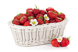 Basket of ripe strawberries