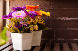 two flower pot on lath