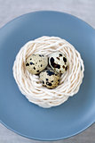 Three quail eggs in the nest with the thread on the plate