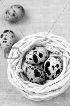 Three quail eggs in the nest with the thread