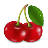 Cherry With Leaf