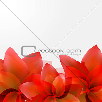 Borders Of Abstract Red Tulips