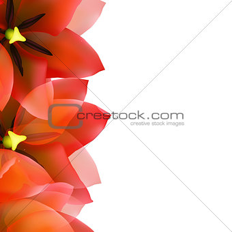 Red Tulip Border With Water Drops