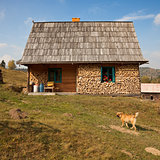 Simple rural house