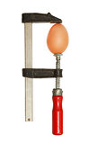 Raw egg in clamp