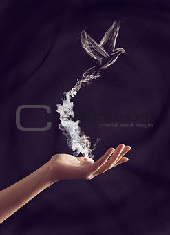 Hand of a woman holding a smoke bird