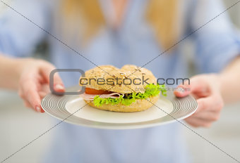 Closeup on plate with sandwich in hand of young woman