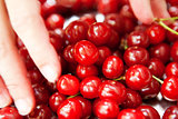 cherries in the plate