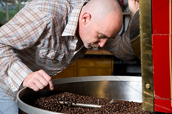 Master Roaster Smells Coffee Beans While Cooling