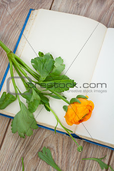 open book with flower