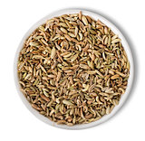 Fennel  in plate isolated