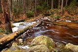 fast mountain river in Harz