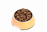 dry dog food in bowl
