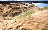 sandy dunes in Haarlem, Netherlands