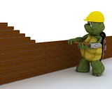 tortoise building contractor