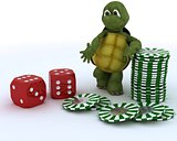 tortoise with casino dice and chips