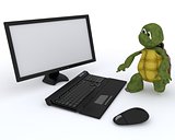 tortoise with a computer