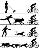 Dogs and cyclist